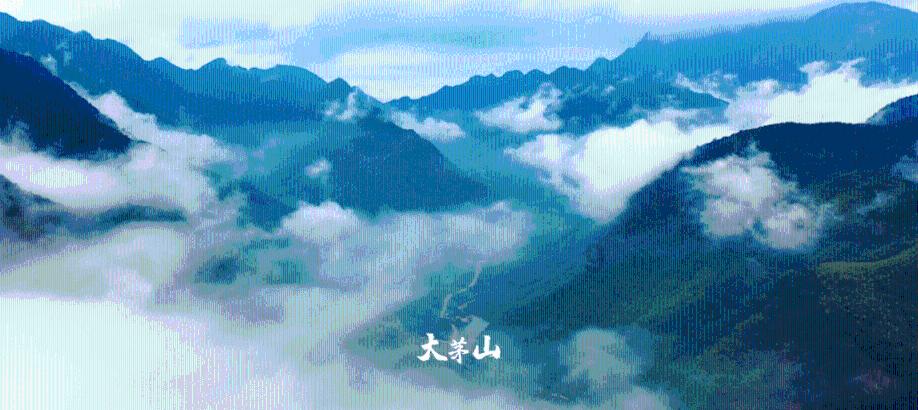 【冬春行动】深挖团伙不漏人 守好群众“钱袋子”